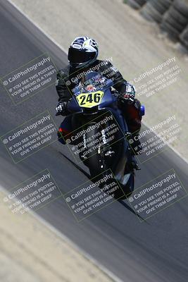 media/Aug-31-2024-TrackDaz (Sat) [[d39206e9d9]]/A Group/10a (Turn 3)/